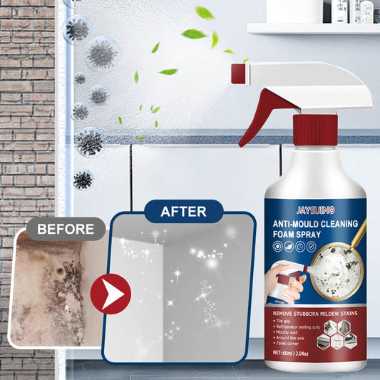 Mold & Mildew Stain Remover